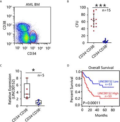 Long Non-Coding RNA LINC00152 Regulates Self-Renewal of Leukemia Stem Cells and Induces Chemo-Resistance in Acute Myeloid Leukemia